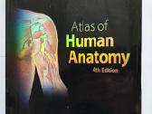 Frank Netter - Atlas of Human Anatomy
