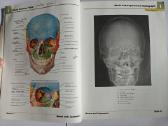 Frank Netter - Atlas of Human Anatomy - nuotraukos Nr. 3