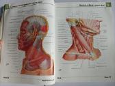 Frank Netter - Atlas of Human Anatomy - nuotraukos Nr. 4