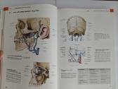 Atlas of Anatomy - Head and Neuroanatomy - nuotraukos Nr. 8