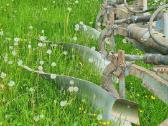 Tvarkingas plūgas dylančios dalys geros - nuotraukos Nr. 2