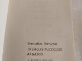 Pasaulis puodelyje arbatos - nuotraukos Nr. 2