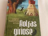 Rolfas giriose