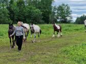 Apaloosa kumelė 3 m. - nuotraukos Nr. 7