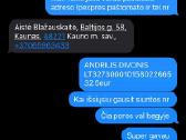 Ausinės pro 2 ir pro 3 pabandymas prieš perkant - nuotraukos Nr. 28