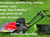 Mulčerio nuoma žoliapjovės nuoma sodo traktoriuko - nuotraukos Nr. 3