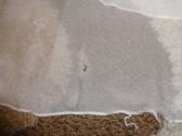 Tiulio fejos vestuvine suknele - nuotraukos Nr. 7