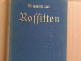 930-12-24 Vokiečių literatūra, Johanneso Thieneman