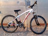 Xeed 24"