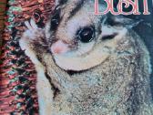 Albumas Australijos gyvūnai