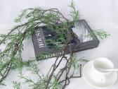 Dirbtinis vijoklinis augalas 160cm ilgio - nuotraukos Nr. 4