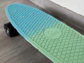 Riedlentė Penny board