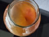 Arbatos grybas – Kombucha. - nuotraukos Nr. 2