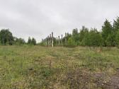 Fermų griuvėsiai