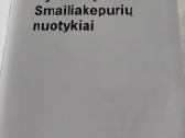 Nykštukų Smailiakepurių nuotykiai - nuotraukos Nr. 2