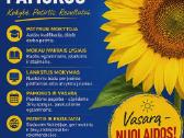 Vokiečių kalbos mokytoja korepetitorė