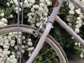 Tokyobike miesto dviratis - nuotraukos Nr. 3