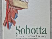 Sobotta Atlas of Human Anatomy, 15th edition. Piln - nuotraukos Nr. 2