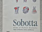 Sobotta Atlas of Human Anatomy, 15th edition. Piln - nuotraukos Nr. 6