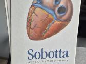 Sobotta Atlas of Human Anatomy, 15th edition. Piln - nuotraukos Nr. 3