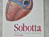 Sobotta Atlas of Human Anatomy, 15th edition. Piln - nuotraukos Nr. 4