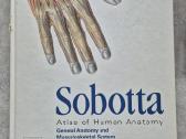 Sobotta Atlas of Human Anatomy, 15th edition. Piln - nuotraukos Nr. 5