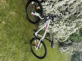 Dviratis Rockrider