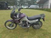 Honda Transalp - nuotraukos Nr. 11