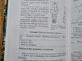 Medžiotojo patarėjas (Sigitas Valaitis) - nuotraukos Nr. 11