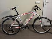 Dviratis Bottecchia Fx500