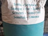 Vejos sėklos