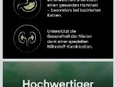 Purina Pro Plan Liveclear Sterilizuotoms katems - nuotraukos Nr. 4