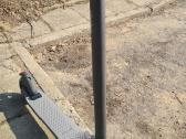 Elektrinis paspirtukas Ninebot segway Es2 - nuotraukos Nr. 2