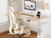 Nauja Flexispot ergonominė kėdė