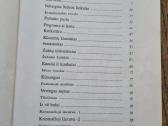 Paršiuko puota (Vytautė Žilinskaitė) - nuotraukos Nr. 4