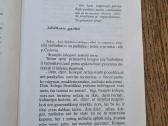 Paršiuko puota (Vytautė Žilinskaitė) - nuotraukos Nr. 6