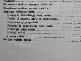Mezginių ir nėrinių raštai - nuotraukos Nr. 8