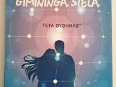 Kaip rasti giminingą sielą. V. Stibal