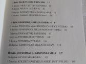 Teta gydymas. Kaip rasti giminingą sielą - nuotraukos Nr. 3