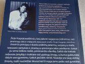 Teta gydymas. Kaip rasti giminingą sielą - nuotraukos Nr. 4