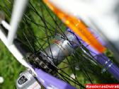 Naujas 24 Tabou Shimano Nexus 3 - nuotraukos Nr. 4