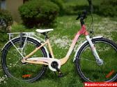 Naujas 26 Tabou Shimano Nexus 3