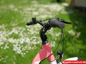 Naujas 26 Tabou Shimano Nexus 3 - nuotraukos Nr. 5