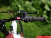Naujas 26 Tabou Shimano Nexus 3 - nuotraukos Nr. 7