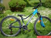 Naujas 26 Tabou Venom 1 mėlynas