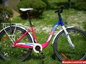 Naujas 27 Tabou Shimano Nexus 3 - nuotraukos Nr. 2
