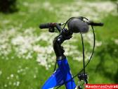 Naujas 27 Tabou Shimano Nexus 3 - nuotraukos Nr. 3