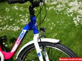 Naujas 27 Tabou Shimano Nexus 3 - nuotraukos Nr. 5