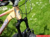 Naujas 27 Tabou Venom 1 rūžavas - nuotraukos Nr. 6