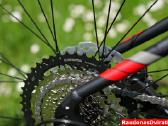 Naujas 27 Unibike Mission S raudonas - nuotraukos Nr. 3